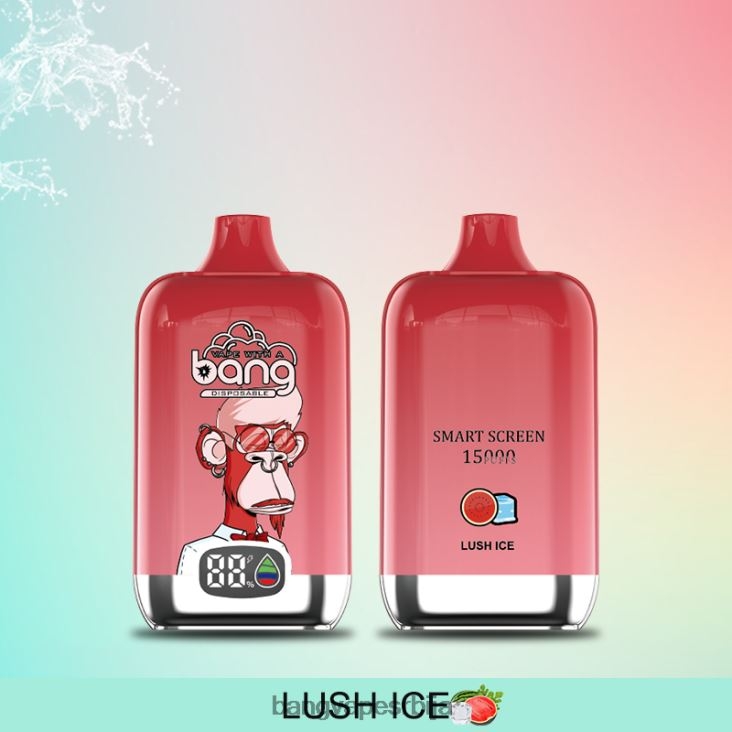 Bang Vape Digital Smart Screen 15000 удисаја 25мл 2V40JV11 за једнократну употребу Bang Vape srbija