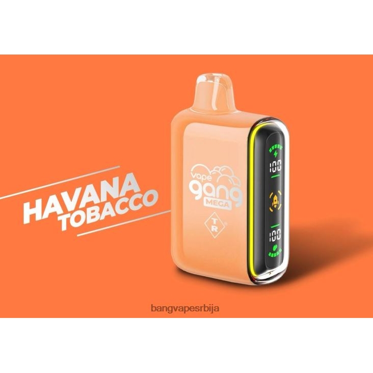 Vape Gang MEGA 20.000 пуффс вапе за једнократну употребу (кутија од 5) 2V40JV55 хавански дуван vape gang beograd